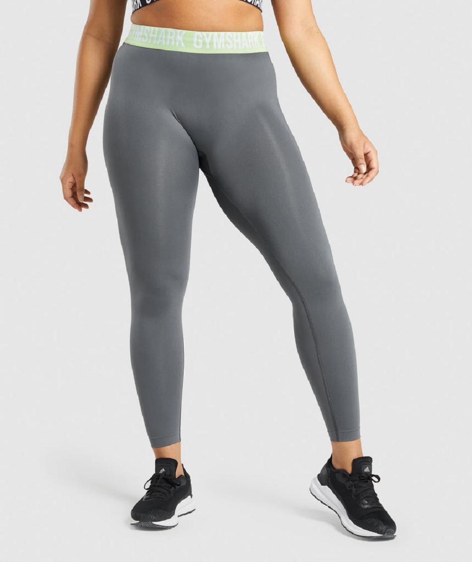 Leggins Gymshark Fit Seamless Mujer Gris | CO 2936CTV